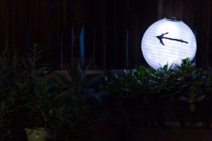 msb_entertext_clearing_051